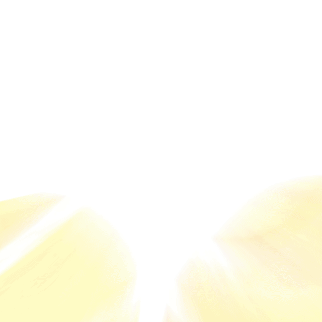 Almohadillas para el Pie - Juanete